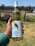 Albariño 2025
